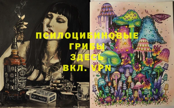круглые Аркадак