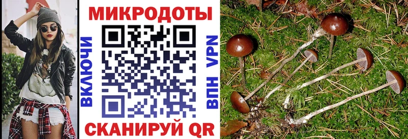 Псилоцибиновые грибы прущие грибы  Уварово 